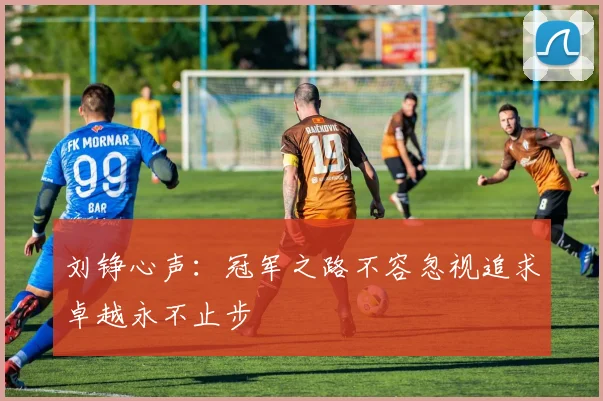 刘铮心声：冠军之路不容忽视追求卓越永不止步